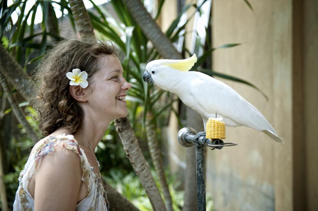 Teja Home Stay Ubud Zewnętrze zdjęcie